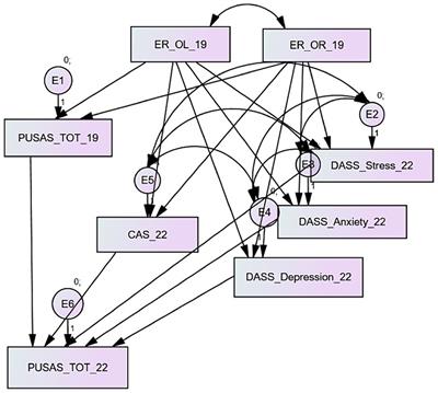 Urban safety and psychological distress during the pandemic: the results of a longitudinal study